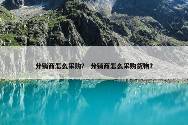 分销商怎么采购？ 分销商怎么采购货物？