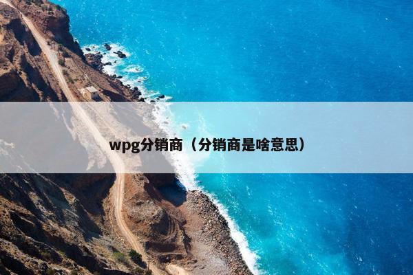 wpg分销商（分销商是啥意思）