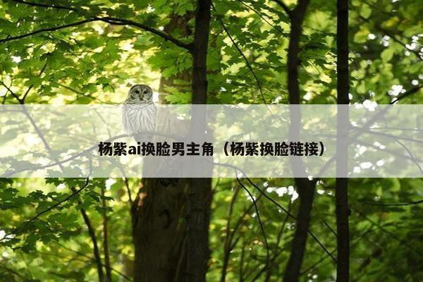 杨紫ai换脸男主角（杨紫换脸链接）