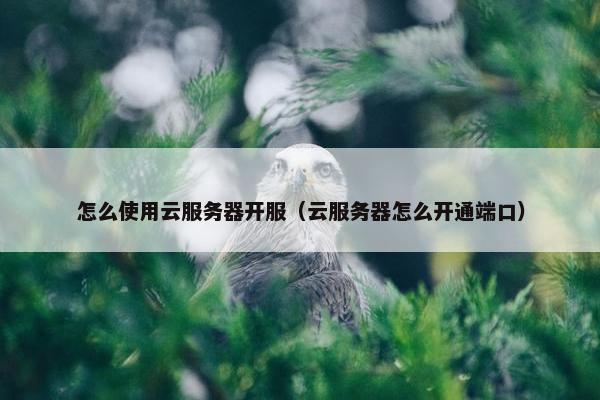 怎么使用云服务器开服（云服务器怎么开通端口）
