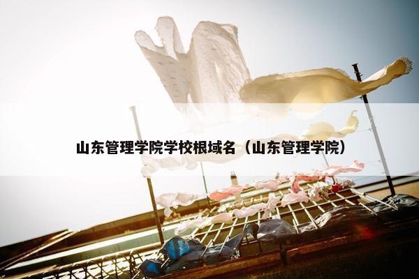 山东管理学院学校根域名（山东管理学院）