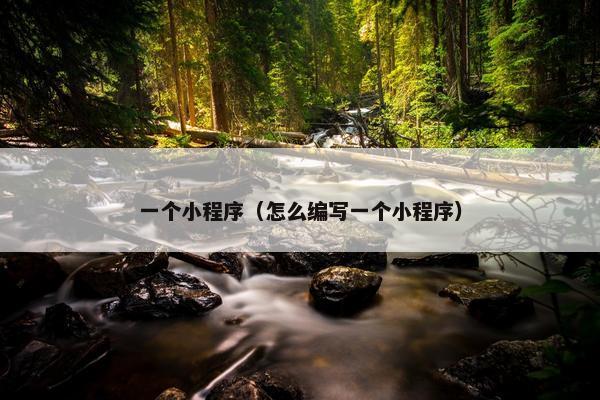 一个小程序（怎么编写一个小程序）