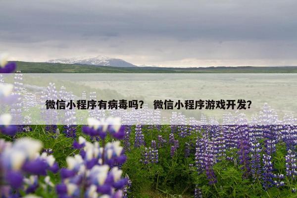 微信小程序有病毒吗？ 微信小程序游戏开发？