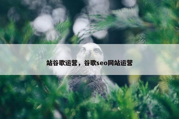 站谷歌运营，谷歌seo网站运营