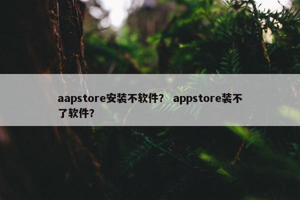 aapstore安装不软件？ appstore装不了软件？
