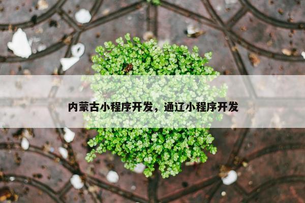 内蒙古小程序开发，通辽小程序开发