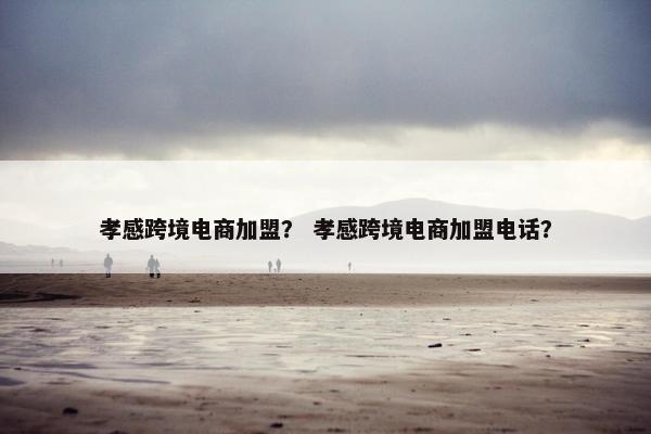 孝感跨境电商加盟？ 孝感跨境电商加盟电话？