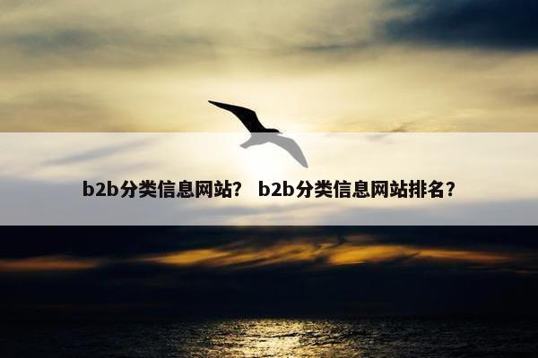 b2b分类信息网站？ b2b分类信息网站排名？