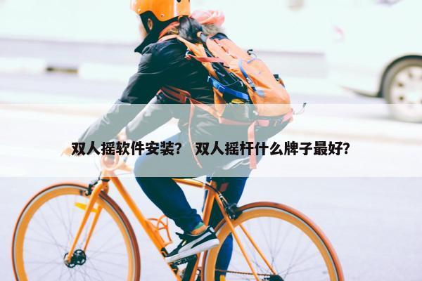 双人摇软件安装？ 双人摇杆什么牌子最好？