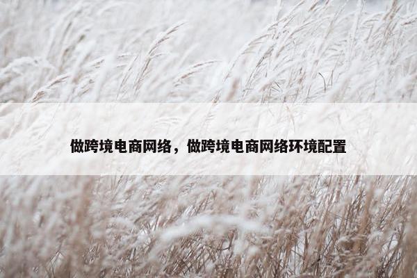做跨境电商网络，做跨境电商网络环境配置