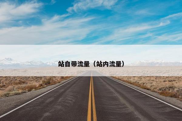 站自带流量（站内流量）