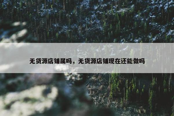 无货源店铺属吗，无货源店铺现在还能做吗