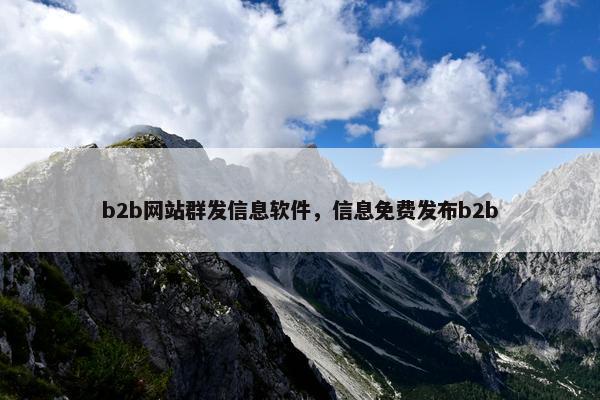 b2b网站群发信息软件，信息免费发布b2b