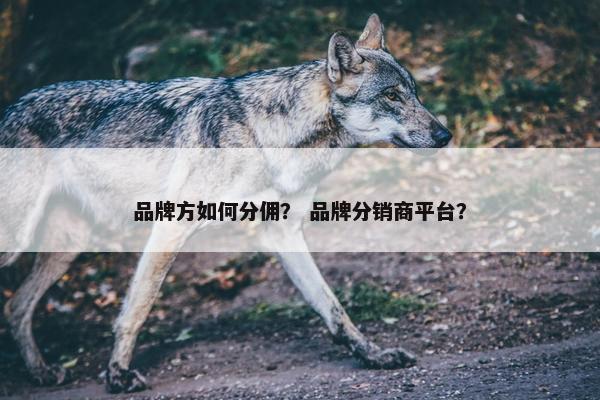 品牌方如何分佣？ 品牌分销商平台？