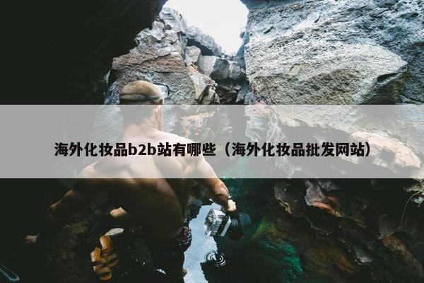 海外化妆品b2b站有哪些（海外化妆品批发网站）