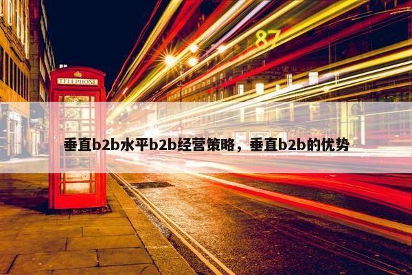 垂直b2b水平b2b经营策略，垂直b2b的优势
