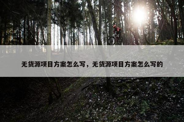 无货源项目方案怎么写，无货源项目方案怎么写的