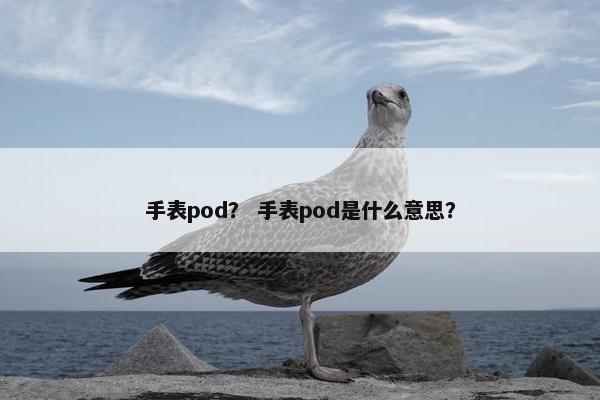 手表pod？ 手表pod是什么意思？