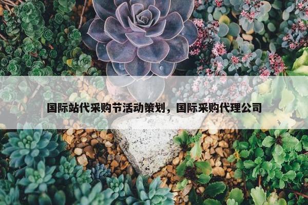 国际站代采购节活动策划，国际采购代理公司