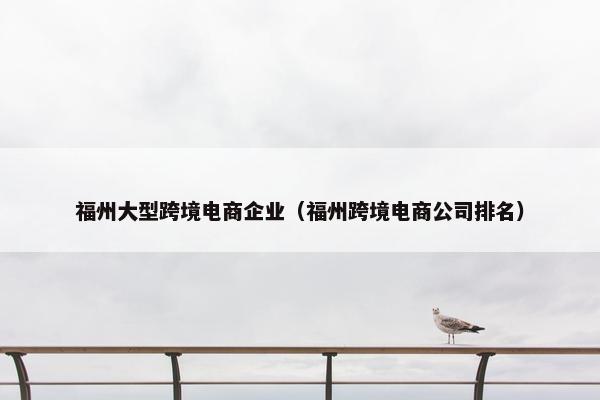 福州大型跨境电商企业（福州跨境电商公司排名）