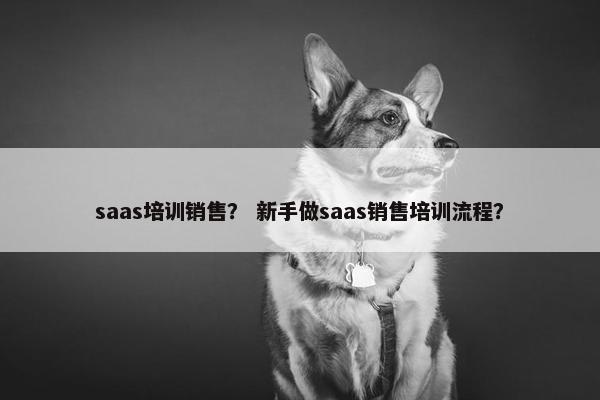 saas培训销售？ 新手做saas销售培训流程？