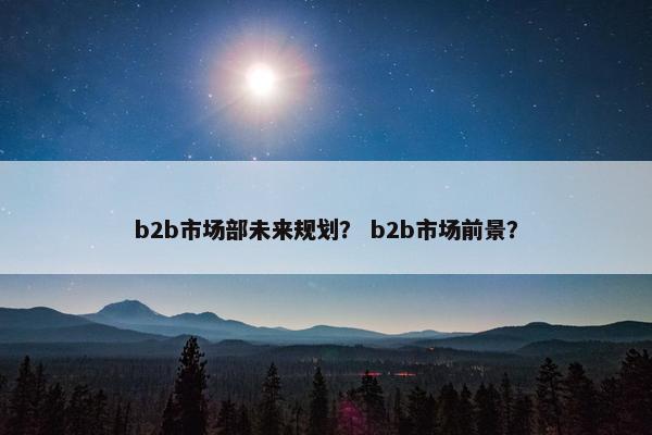 b2b市场部未来规划？ b2b市场前景？