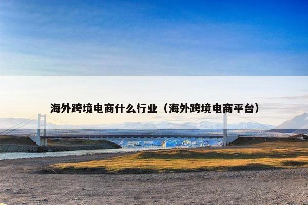 海外跨境电商什么行业（海外跨境电商平台）