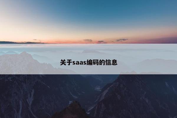 关于saas编码的信息