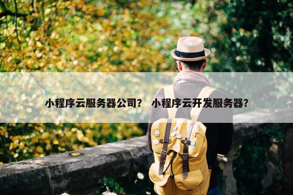 小程序云服务器公司？ 小程序云开发服务器？