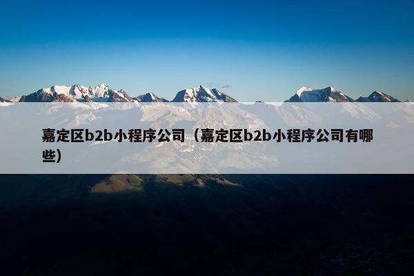 嘉定区b2b小程序公司（嘉定区b2b小程序公司有哪些）