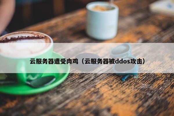 云服务器遭受肉鸡（云服务器被ddos攻击）