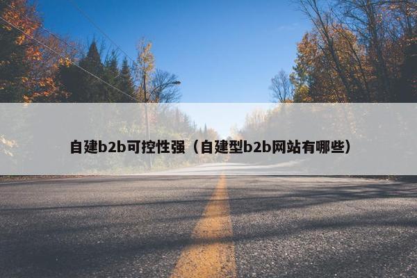 自建b2b可控性强（自建型b2b网站有哪些）