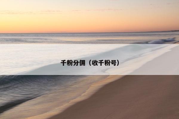 千粉分佣（收千粉号）