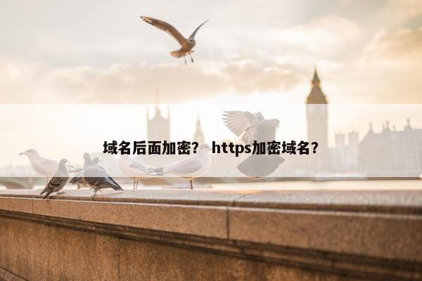 域名后面加密？ https加密域名？