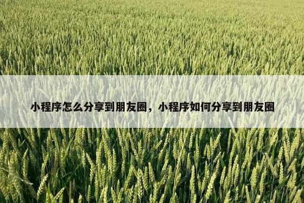 小程序怎么分享到朋友圈，小程序如何分享到朋友圈