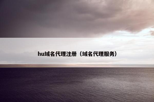 hu域名代理注册（域名代理服务）