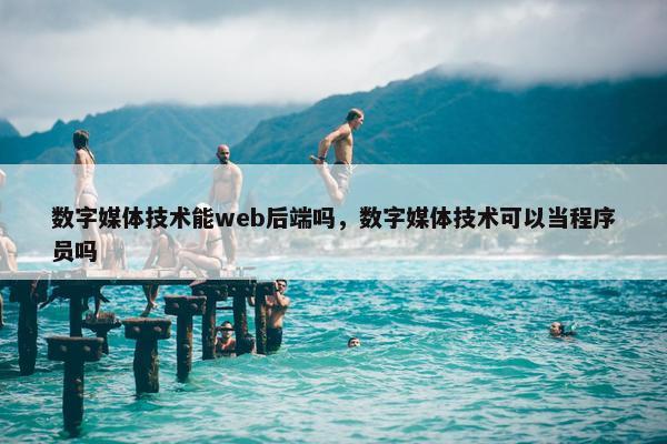 数字媒体技术能web后端吗，数字媒体技术可以当程序员吗