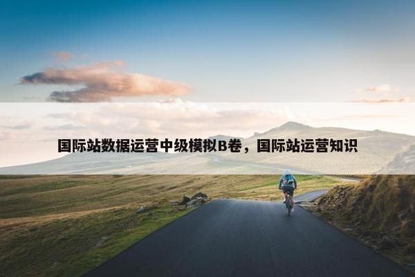 国际站数据运营中级模拟B卷，国际站运营知识