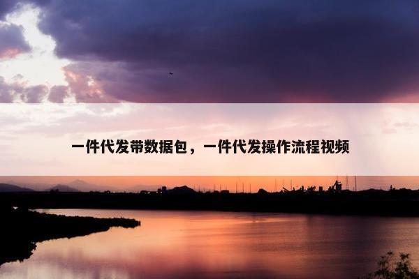 一件代发带数据包，一件代发操作流程视频