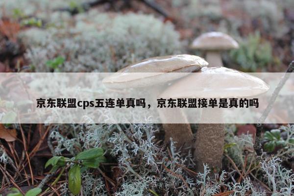 京东联盟cps五连单真吗，京东联盟接单是真的吗