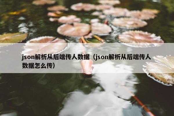 json解析从后端传人数据（json解析从后端传人数据怎么传）
