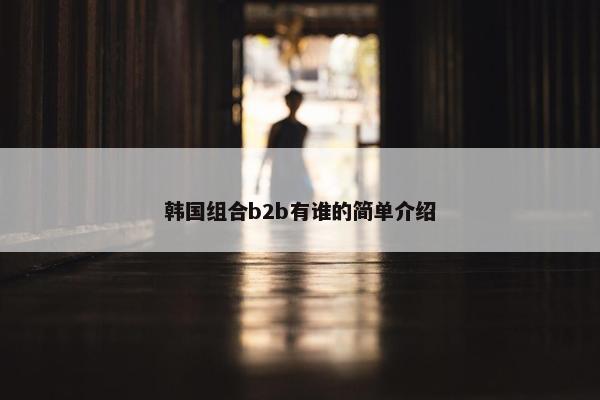 韩国组合b2b有谁的简单介绍