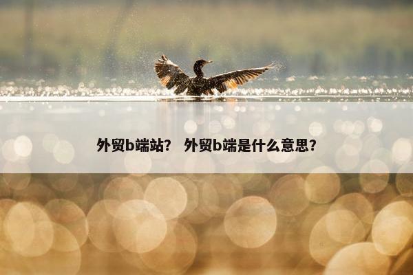 外贸b端站？ 外贸b端是什么意思？