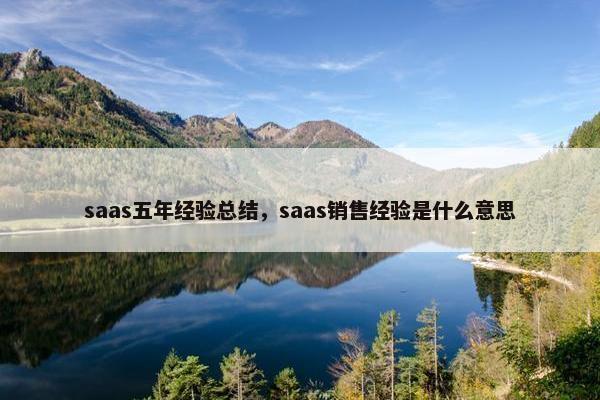 saas五年经验总结，saas销售经验是什么意思