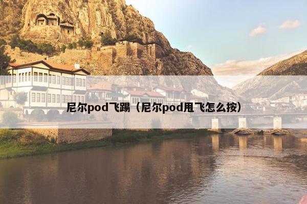 尼尔pod飞踢（尼尔pod甩飞怎么按）