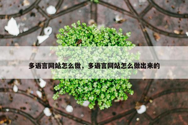 多语言网站怎么做，多语言网站怎么做出来的