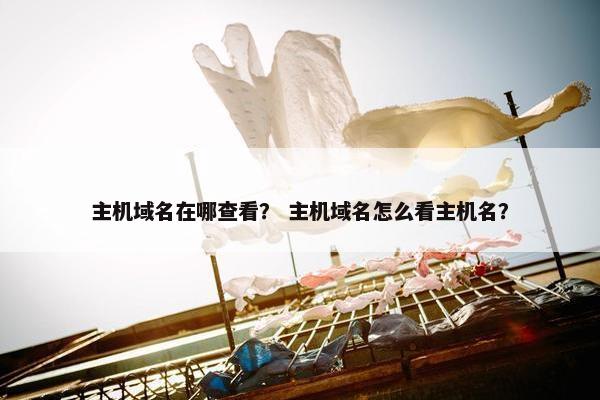 主机域名在哪查看？ 主机域名怎么看主机名？