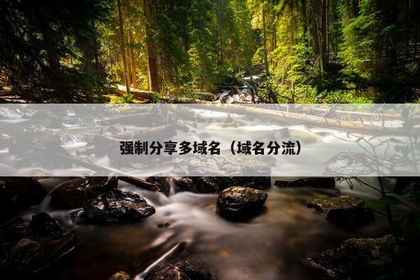 强制分享多域名（域名分流）
