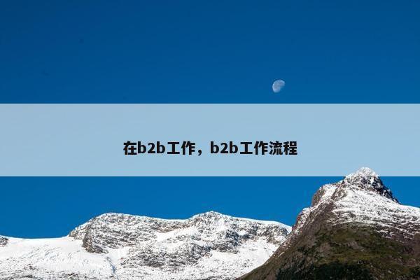 在b2b工作，b2b工作流程