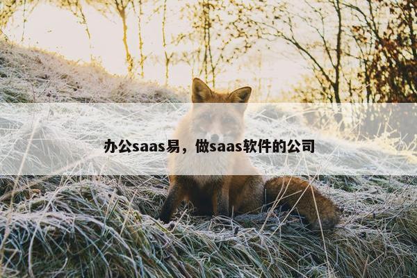 办公saas易，做saas软件的公司